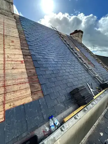 démoussage de toiture Brech-5