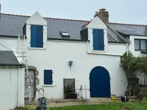 démoussage de toiture Colpo-4