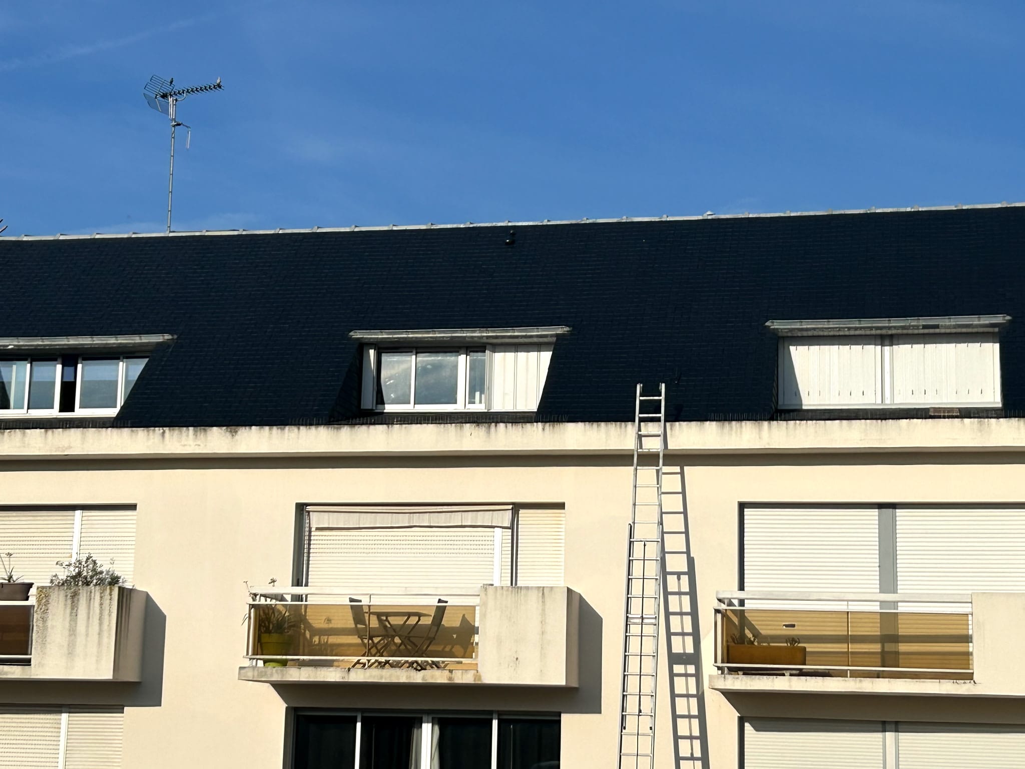 after-image