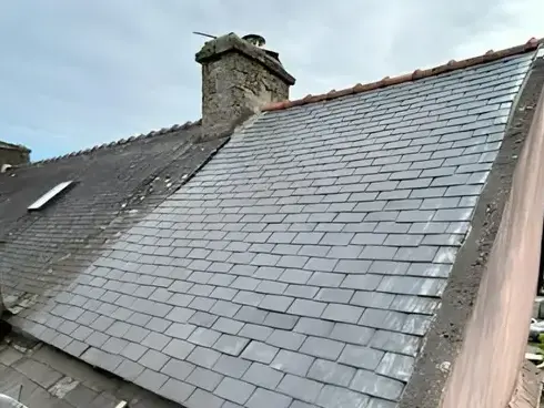 démoussage de toiture Locoal-Mendon-1