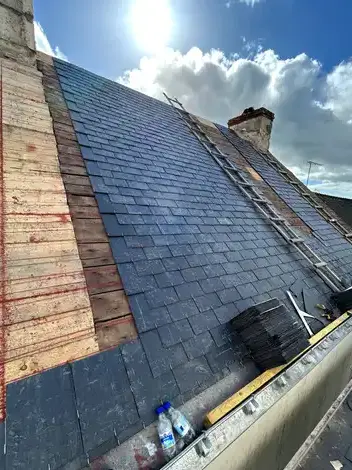 démoussage de toiture Locoal-Mendon-5